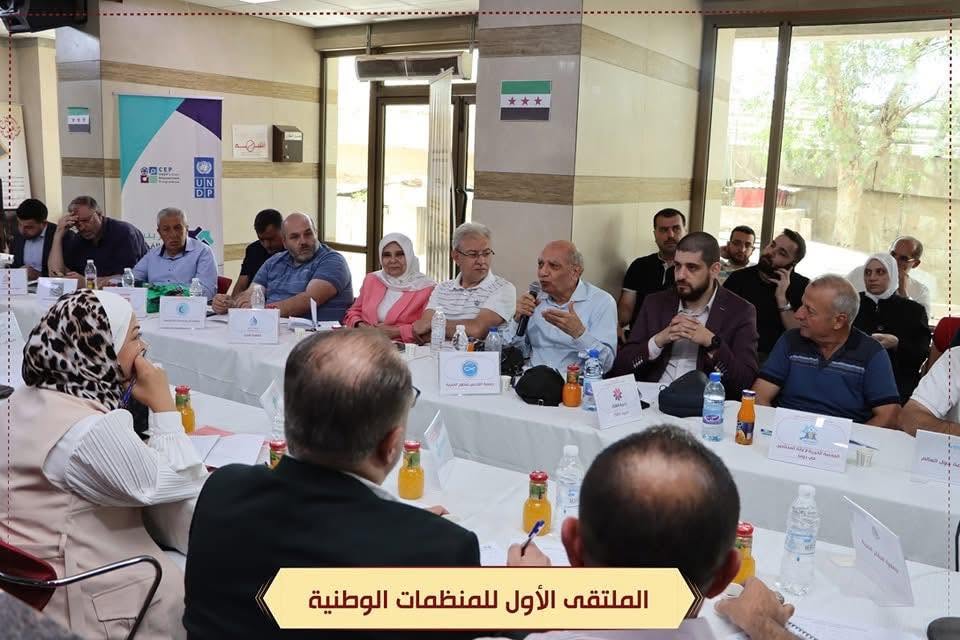 Taking part in the first forum of national organisations — photo 10